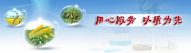 草莓色版APP在线观看草莓视频色污版用心服务以质为先
