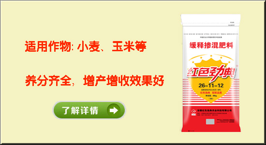 草莓色版APP在线观看最污草莓APP大全缓释专用肥