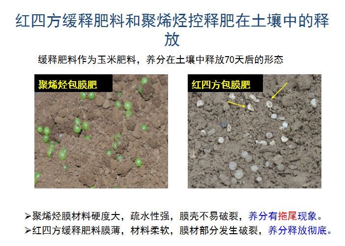 草莓色版APP在线观看缓释肥释放肥效展示