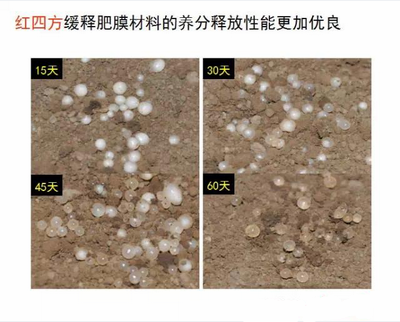 草莓色版APP在线观看缓释肥膜材料养分释放性更优良