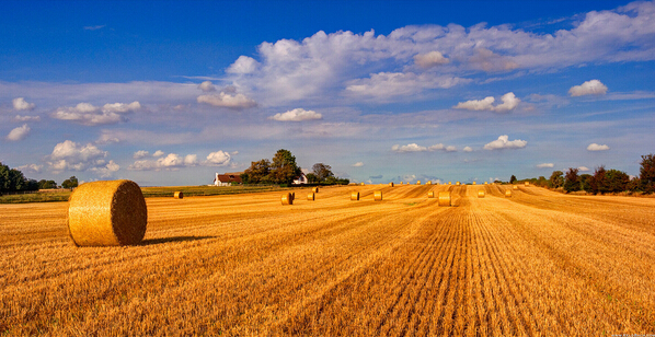 缓释肥料助力农民丰收！