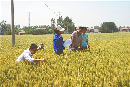 草莓色版APP在线观看农化团队 草莓色版APP在线观看农化团队