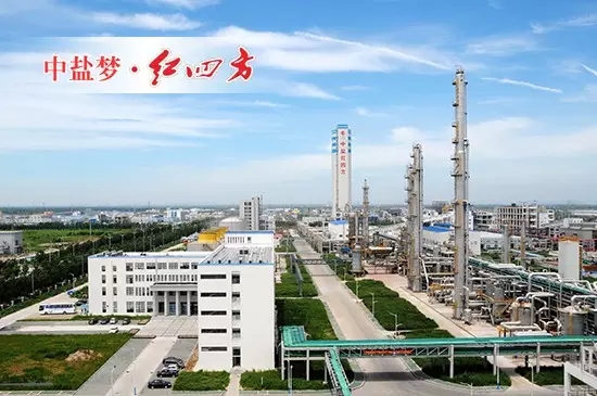 草莓色版APP在线观看复合肥新区生产中心