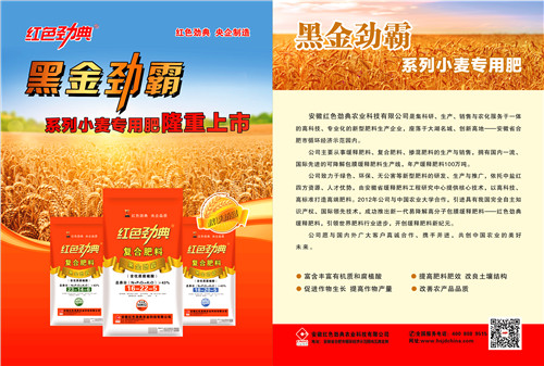 黑金劲霸最污草莓APP大全肥单页