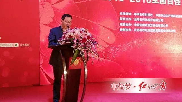 中盐红四方副总经理陈勇致祝酒词。