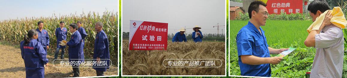 草莓色版APP在线观看缓释尿素 草莓色版APP在线观看缓释尿素