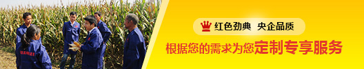 草莓色版APP在线观看会员登录
